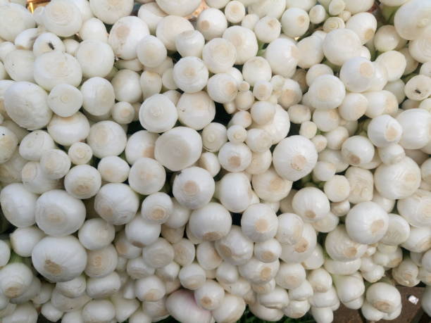 istock Close-up shot of garlic background 899690782