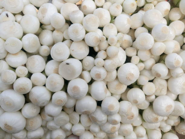 istock Close-up shot of garlic background 899690798