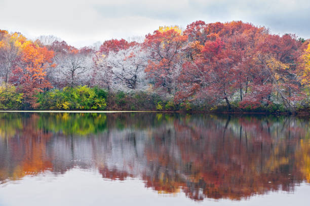 istock Frosty Autumn Trees and Reflections at Marthaler 899691306