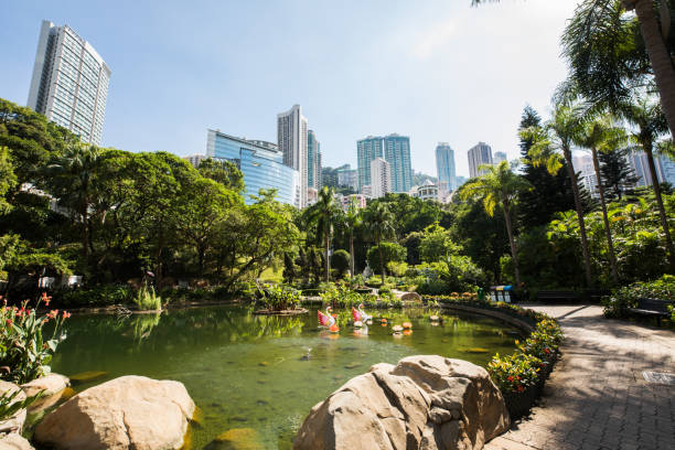 istock Public Park in Hongkong 899692424