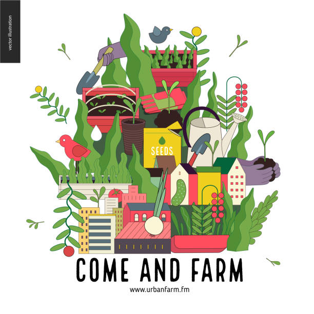 ilustrações, clipart, desenhos animados e ícones de agricultura urbana e jardinagem colagem - agricultural scene