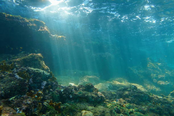 istock Sunbeams underwater viewed from seabed in a reef 899696252