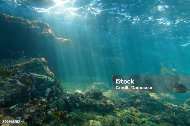 Sunbeams Underwater Viewed From Seabed In A Reef Stock Photo - Download Image Now - Ocean Floor, Rock - Object, Underwater