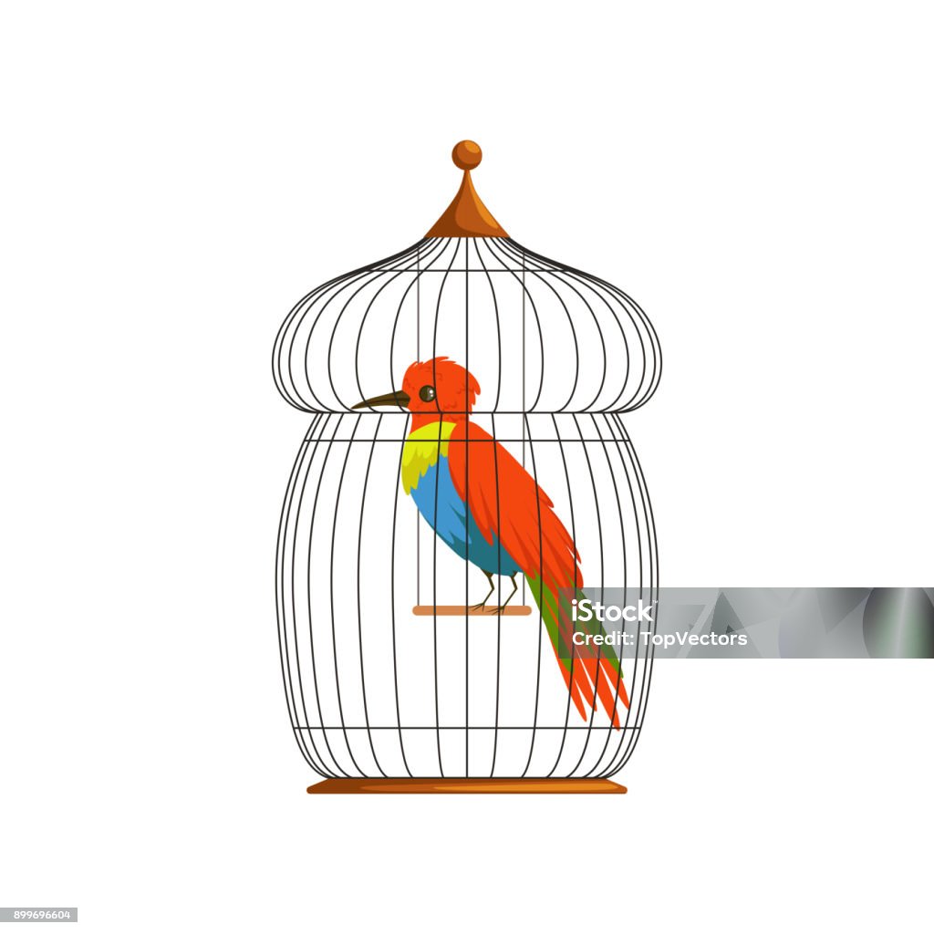 Big Bird With Long Brilliantly Green Blue And Red Plumes Cartoon Character  Of Tropical Animal In Old Wire Cage Flat Vector Design For Postcard Poster  Or Flyer Stock Illustration - Download Image