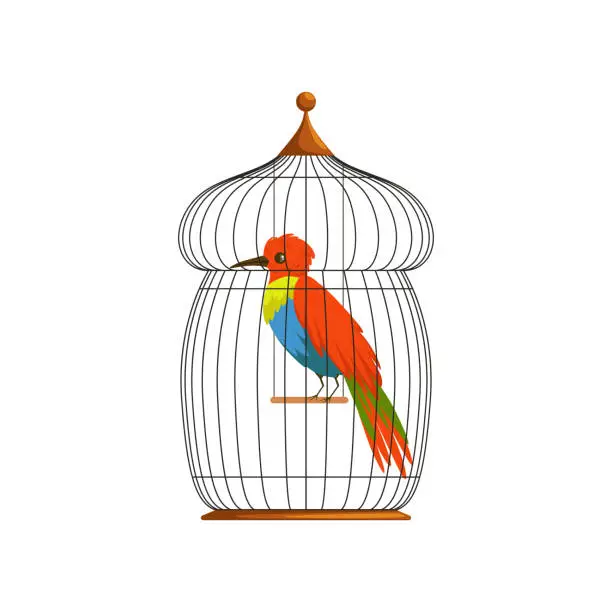Vector illustration of Big bird with long, brilliantly green, blue and red plumes. Cartoon character of tropical animal in old wire cage. Flat vector design for postcard, poster or flyer