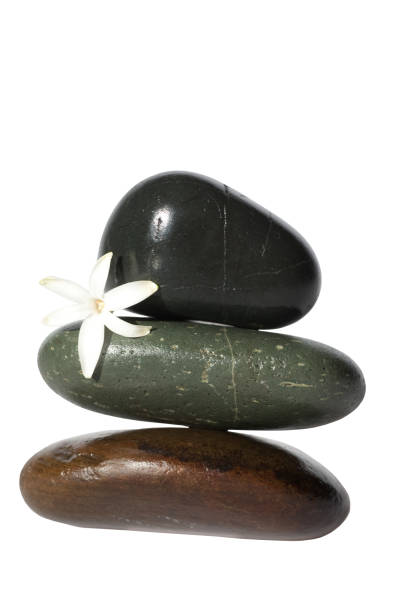 istock Vanilla flower on zen stones 899699024