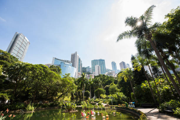 istock Public Park in Hongkong 899699384