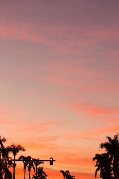 istock Vibrant Palm Beach Sunset Sky 899704318