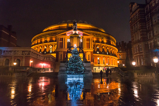 Illuminated Christmas tree in front of the Royal Albert Hall at night, South Kensington, London, England, UK