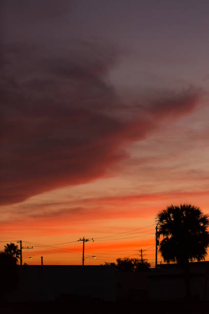 istock Vibrant Palm Beach Sunset Sky 899704982