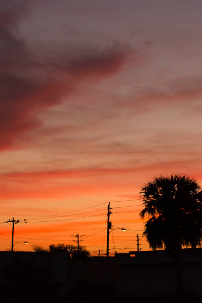 istock Vibrant Palm Beach Sunset Sky 899705396