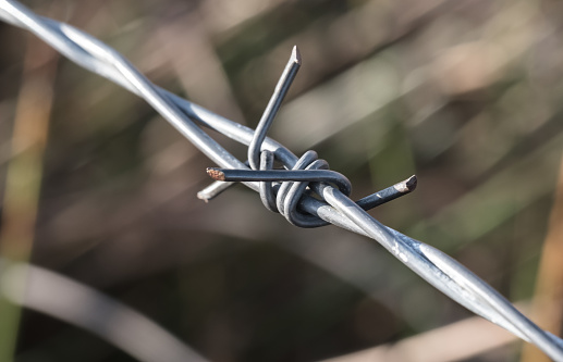 Detail of the multiple strands of barbed-wire with there sharp points can be seen, together with some rust on one of the points. The barbed-wire fencing has been newly installed on a border and immigration control area in Europe.