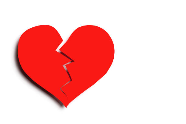 Broken heart isolated on white background with copy space. Cut out