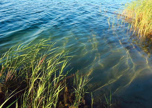 Picturesque summer  lake calm rushy shore. Concept of tranquil country life, eco friendly tourism, camping, fishing.