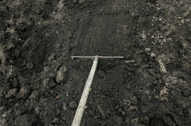 istock tool garden rake smooth black dug up the ground 899719718