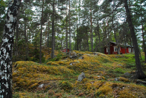 Red houses in the forest on Grinda island near Stockholm