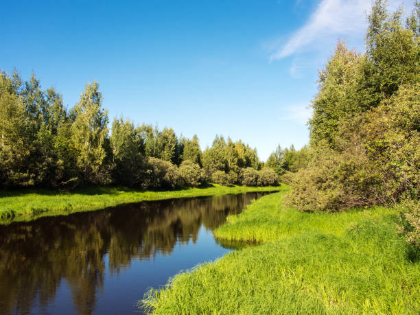 istock green banks of the river 899724472