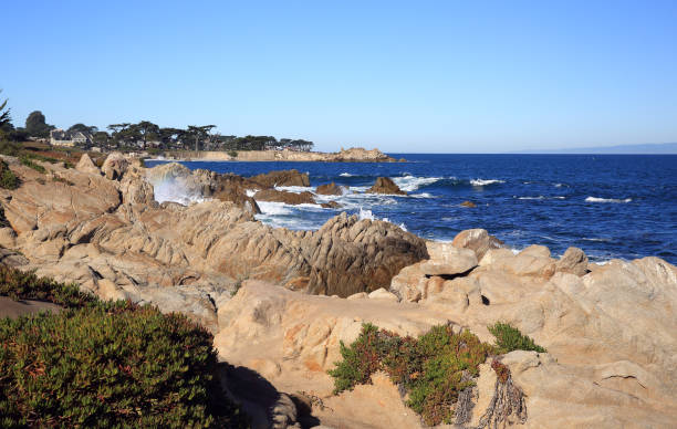 istock Monterey California Coast 899727740