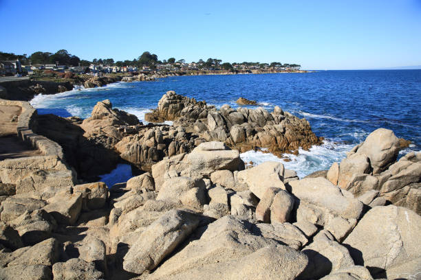 istock Monterey California Coast 899728304