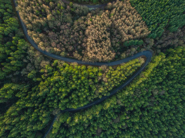 Hairpin bend from above, Tipperary, Ireland.