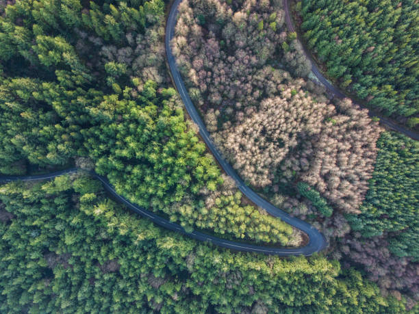 istock Hairpin bend from above, Tipperary, Ireland. 899731420