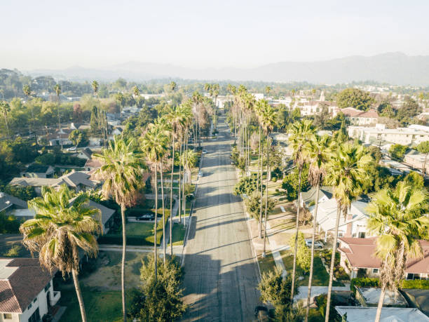 istock Aerial of Palm Tree Lined Street 899731474