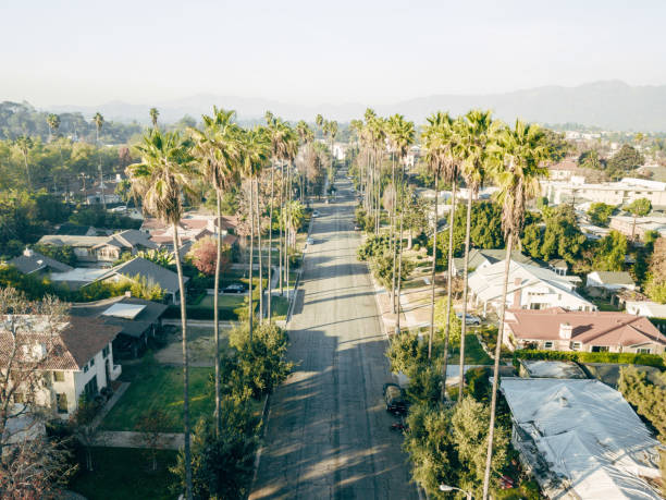 Aerial of Palm Tree Lined Street stock photo