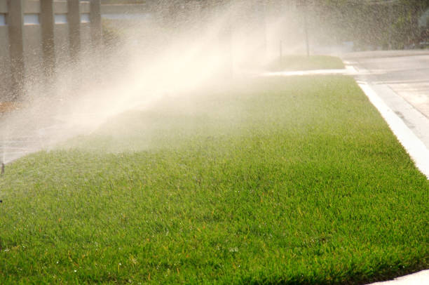 istock Yard water sprinkler system irrigation watering yard 899732252