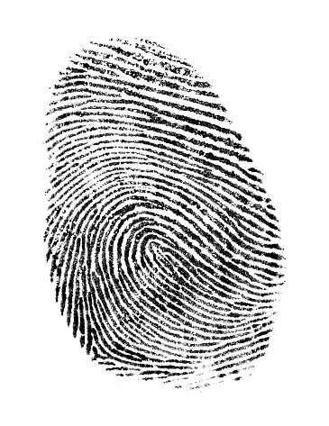 Black Ink Fingerprint Isolated on a White Background.