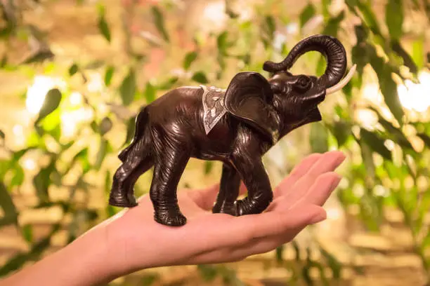 Souvenir elephant on hand as a symbol of a gift for a holiday and wish good luck.