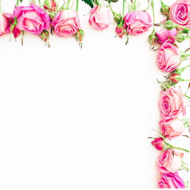 istock Floral border pattern of pink roses on white background. Flat lay, Top view. 899736198