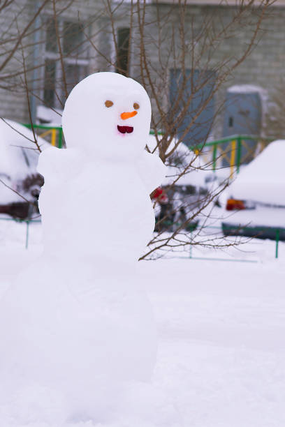 istock snowman in the winter 899739374