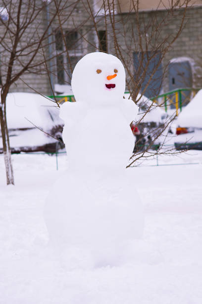 istock snowman in the winter 899739390