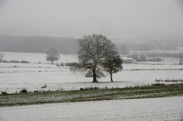 istock Winter scenery in Luxembourg 899747170