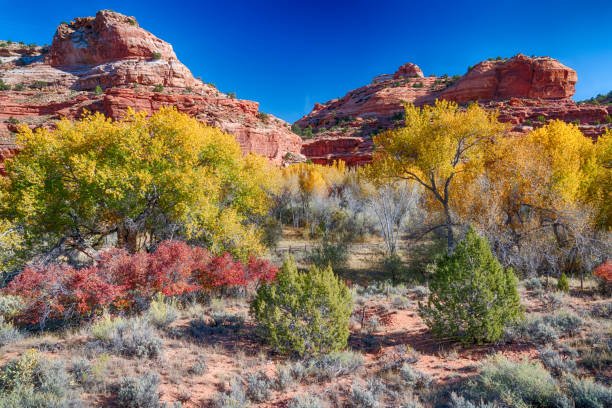 istock Grand Staircase-Escalante National Monument 899751466
