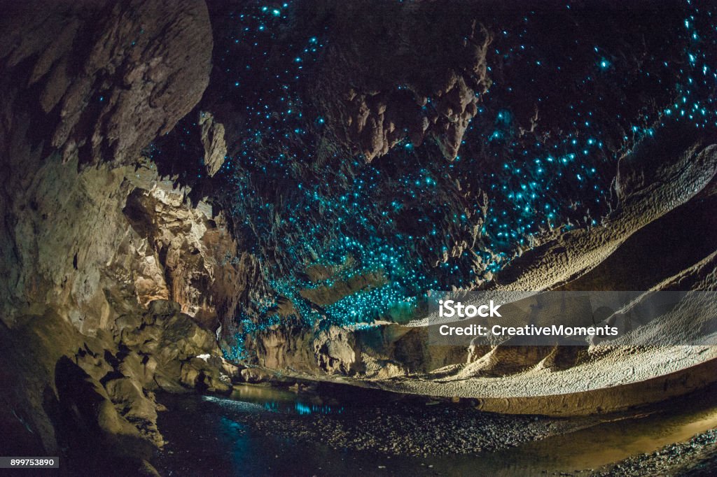 Glow worms shine brightly in Waipu Caves, New Zealand Blue coloured glow worms in a cave in New Zealand, lit up by flashes. A stream runs through the middle. Cave Stock Photo