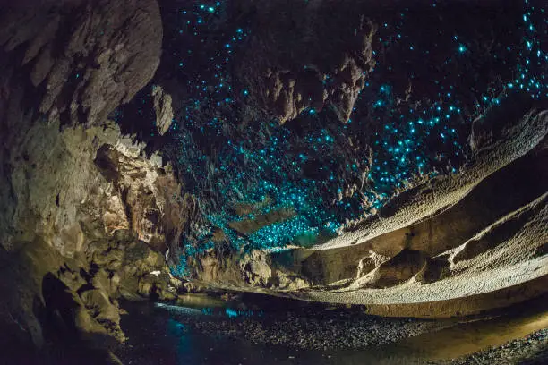 Blue coloured glow worms in a cave in New Zealand, lit up by flashes. A stream runs through the middle.