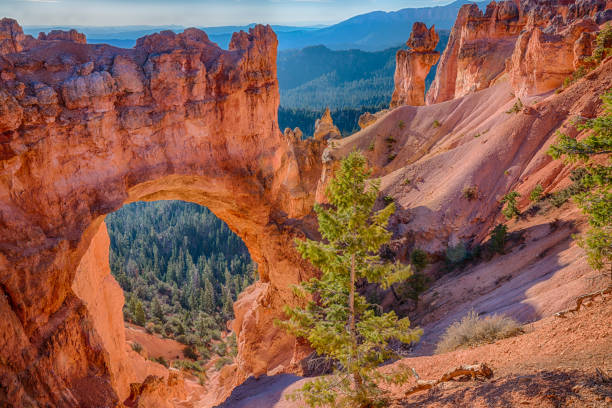 Natural Arch Natural Arch in Bryce Canyon National Parks, Utah bryce canyon stock pictures, royalty-free photos & images