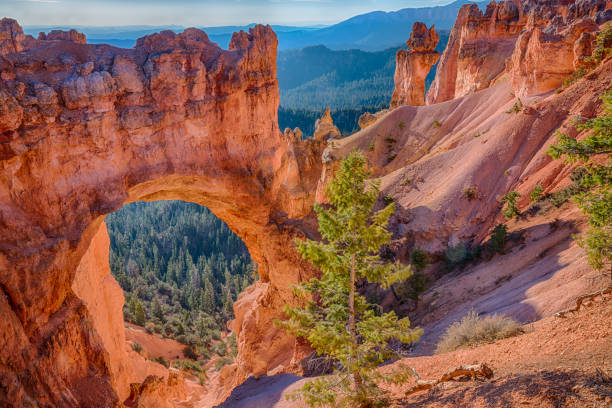 природная арка - rock pattern canyon usa стоковые фото и изображения