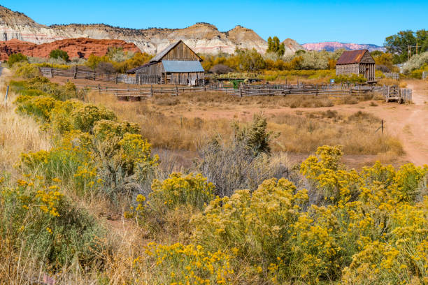 istock Old Farm Barn in Utah 899754526