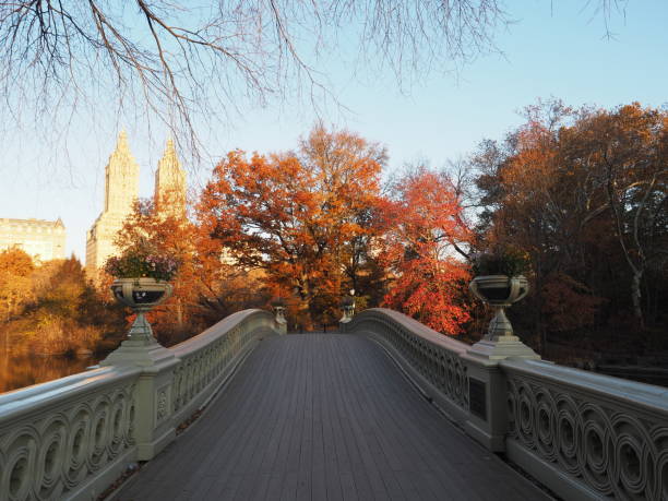 istock Bow Bridge in Central Park, New York City 899754630
