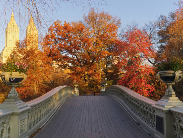 istock Bow Bridge in Central Park, New York City 899754680