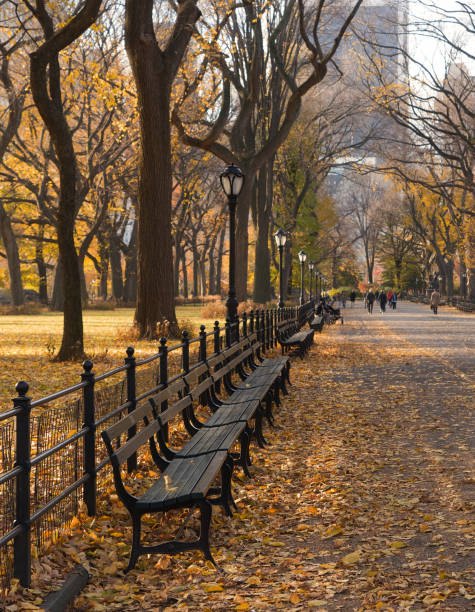 istock Autumn Foliage in Central Park 899754712