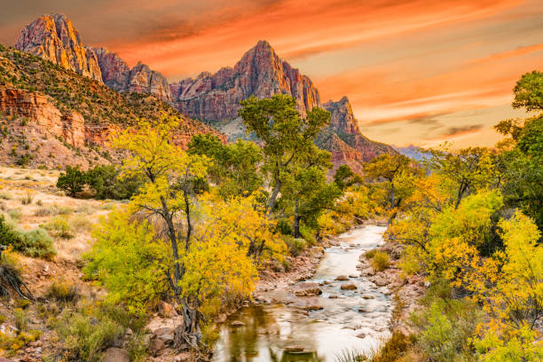 istock Sunset Along the Watchman 899754724