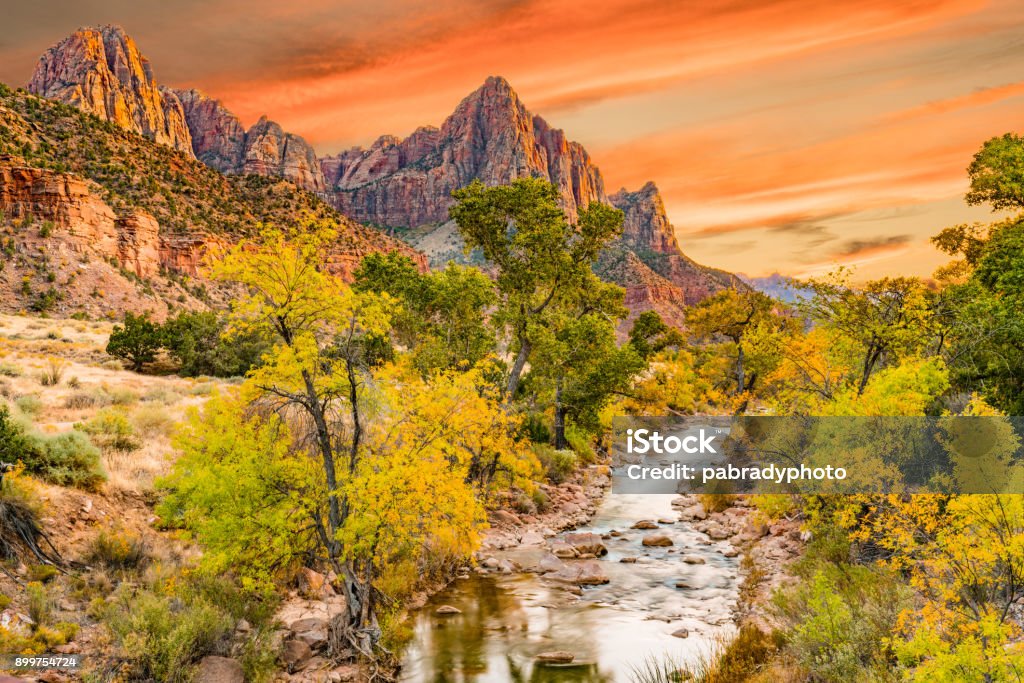Sunset Along the Watchman Sunset at Watchman  peak along the Virgin river in Zion National Park, Utah Zion National Park Stock Photo