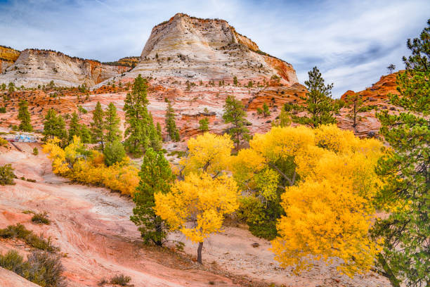 Autumn in Zion National Park stock photo