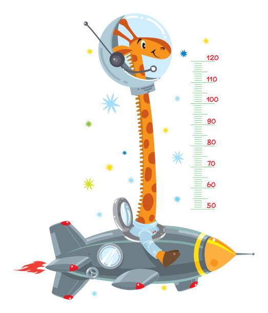 Giraffe on rocket. Meter wall or height chart Cheerful funny giraffe on space rocket. Height chart or meter wall or wall sticker. Childrens vector illustration with scale from 50 to 120 centimeter to measure growth boy height measure stock illustrations