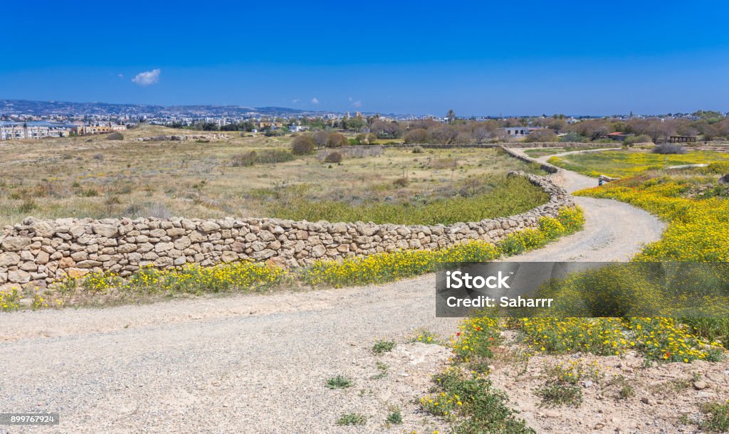 Nature in Kato Paphos Archaeological Park, Cyprus blooming road, nature in Kato Paphos Archaeological Park, Cyprus Ancient Civilization Stock Photo