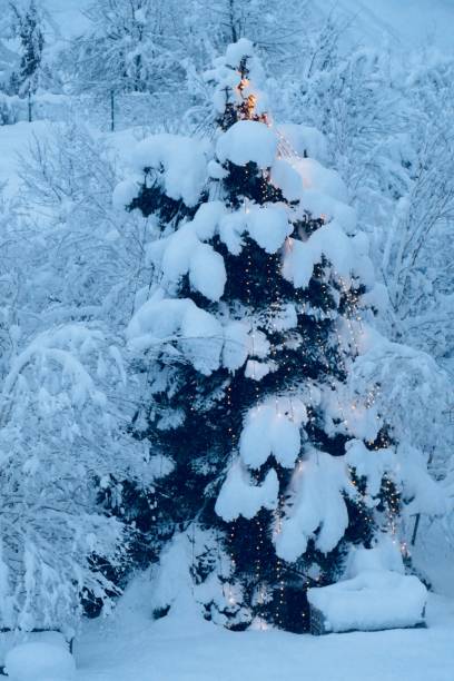 istock Snow covered winter landscape and illuminated christmas tree 899771886