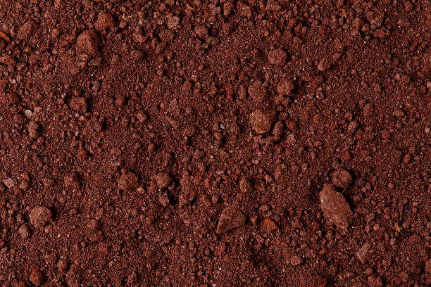 istock Ground Texture. Top View of a Dark Ground Surface. 899775996